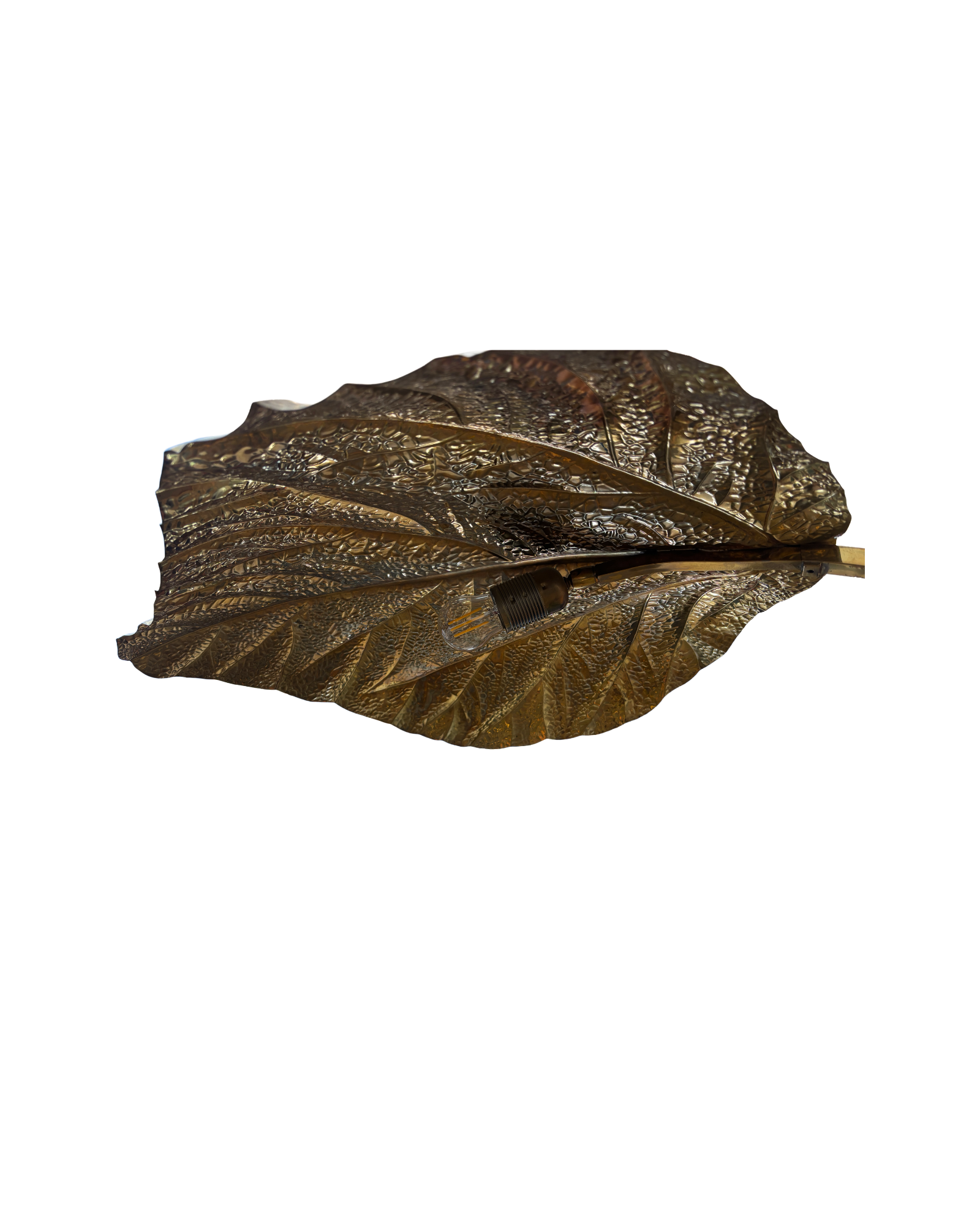 Vintage Italian Brass Leaf Table Lamp by Tommaso Barbi for Bottega Gadda, 1970s thumbnail 3