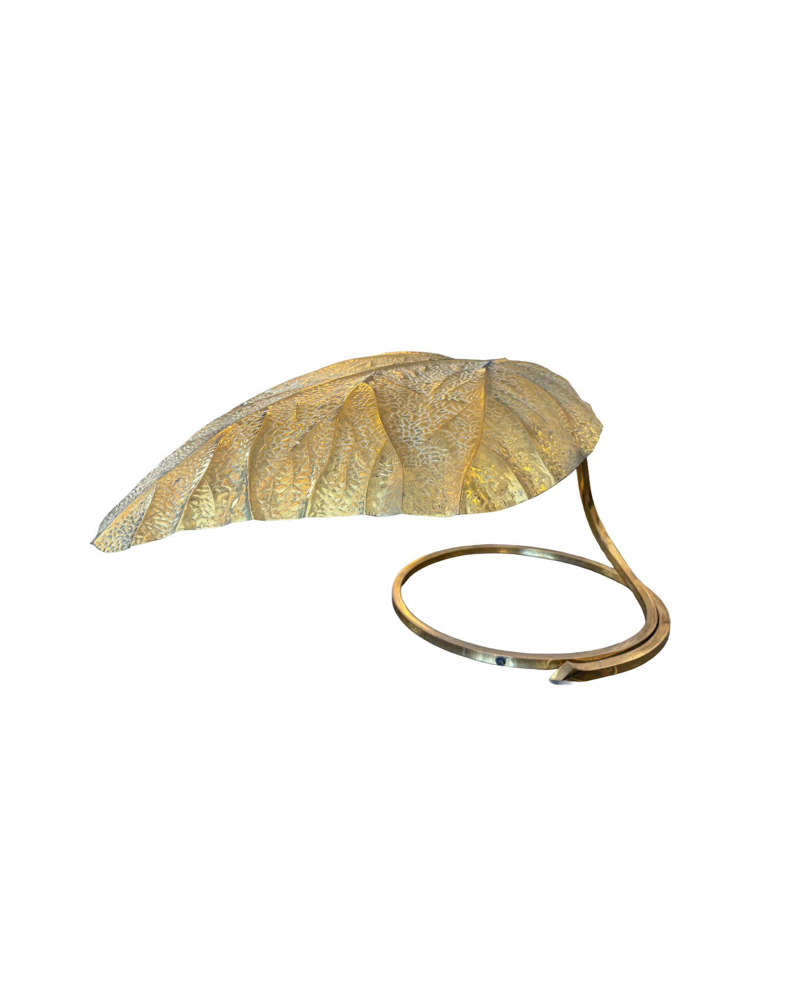 Vintage Italian Brass Leaf Table Lamp by Tommaso Barbi for Bottega Gadda, 1970s thumbnail 2