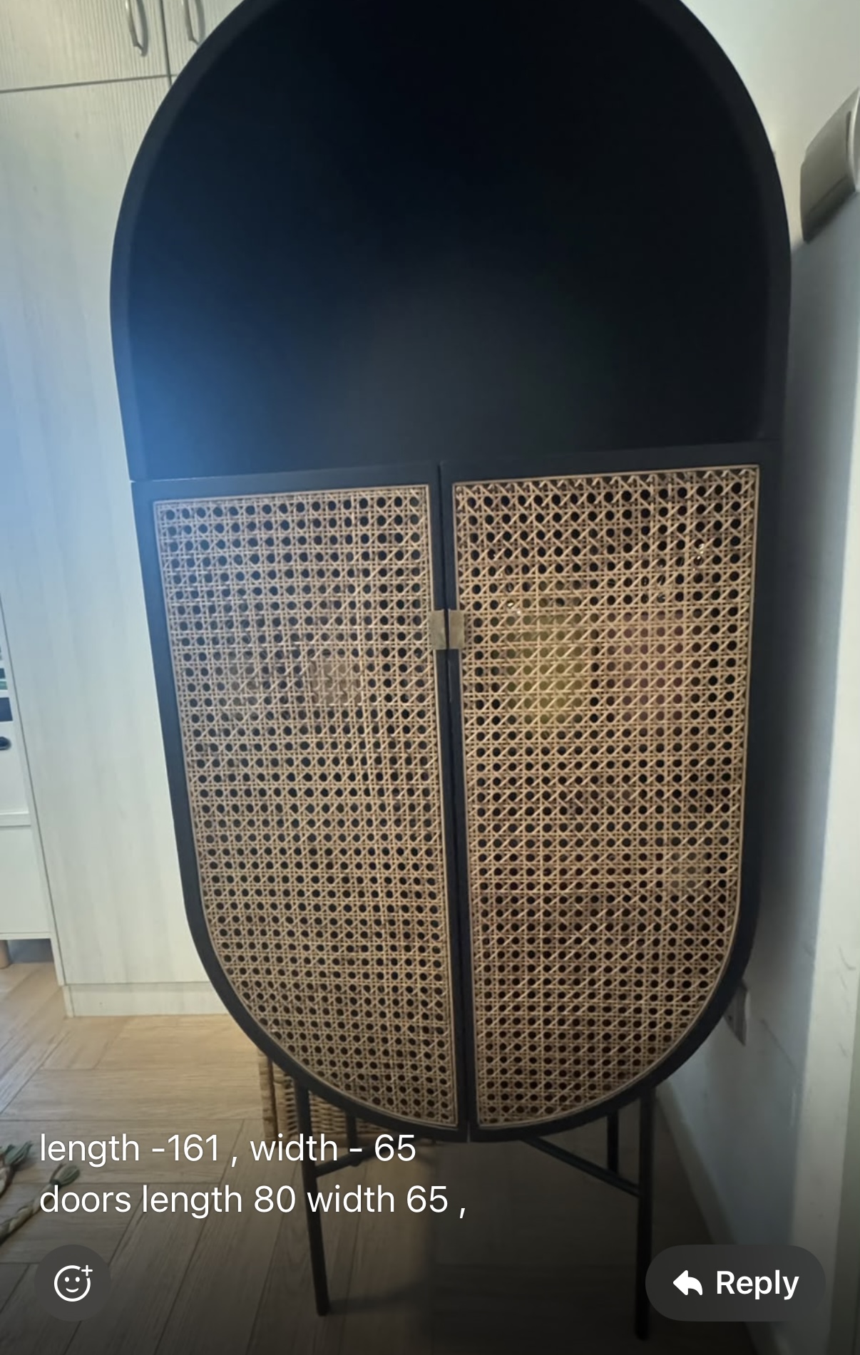 Black Arched Cane Cabinet with Metal Legs thumbnail 11
