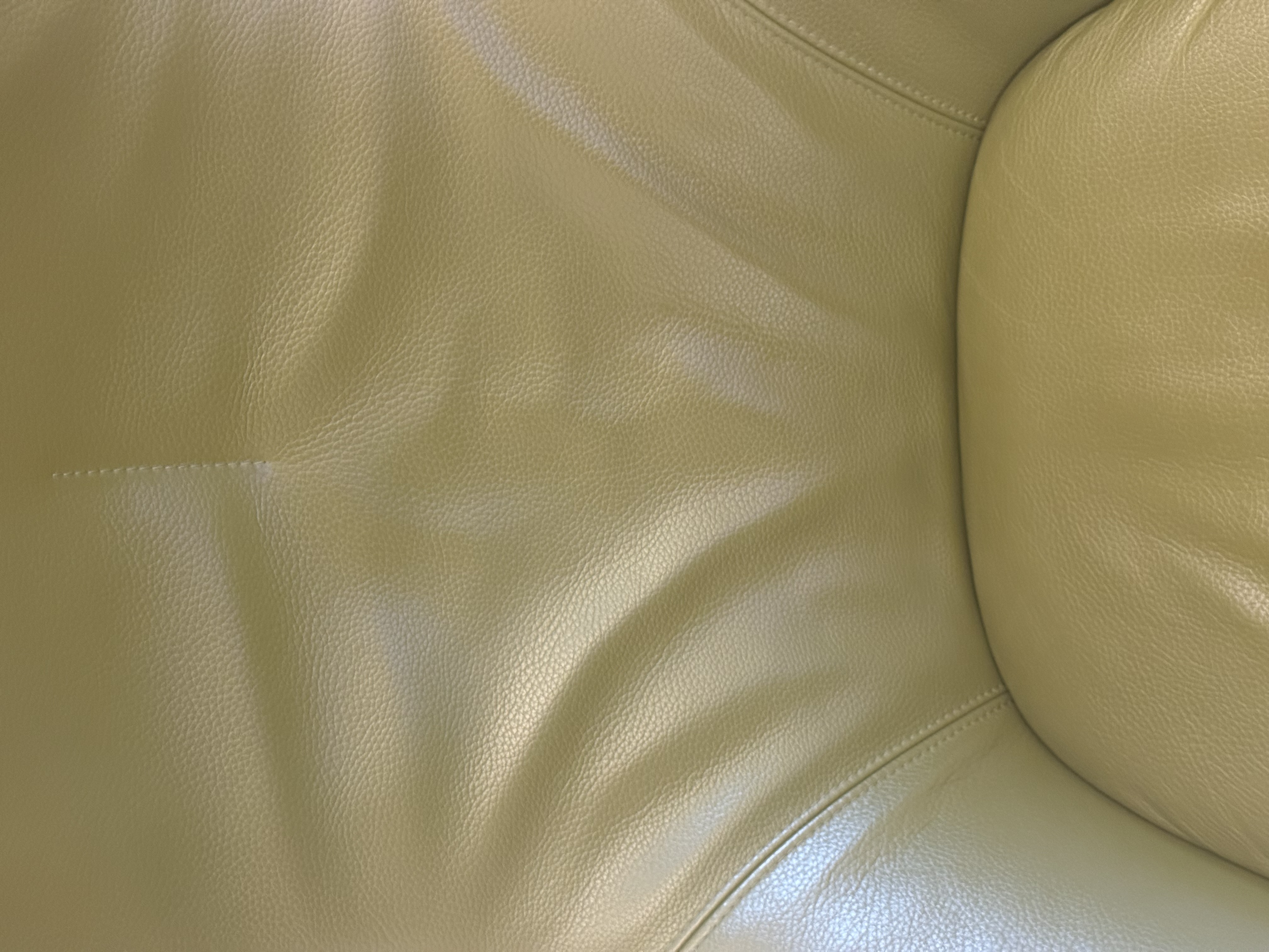 Leolux Caruzzo Swivel Armchair by Frans Schrofer – Olive Green Leather thumbnail 3