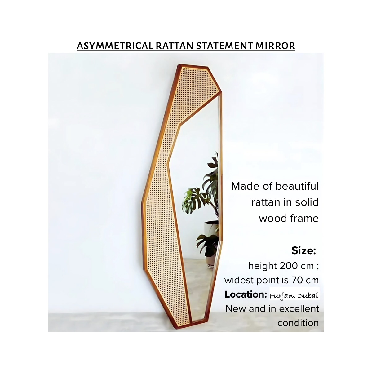 Solid Wood & Rattan Floor Mirror thumbnail 6